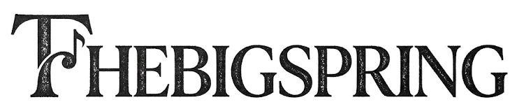 Thebigspring